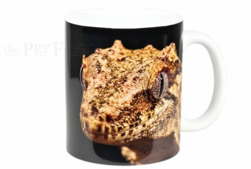 Kaffeebecher "Correlophus auriculatus"